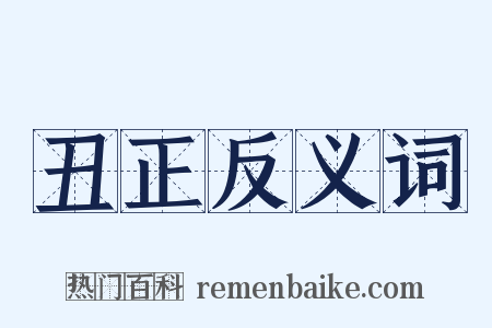丑正反义词是什么意思的图片